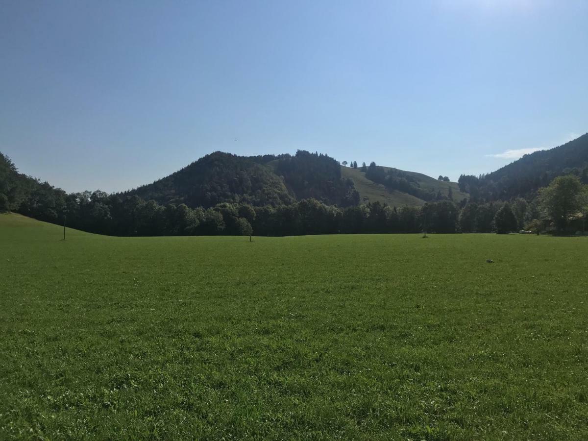 Chiemsee Spezial