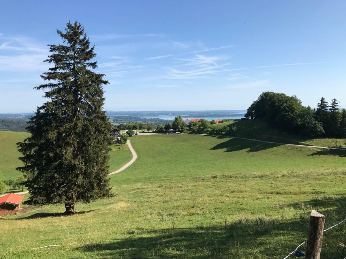 Chiemsee Spezial Apartment